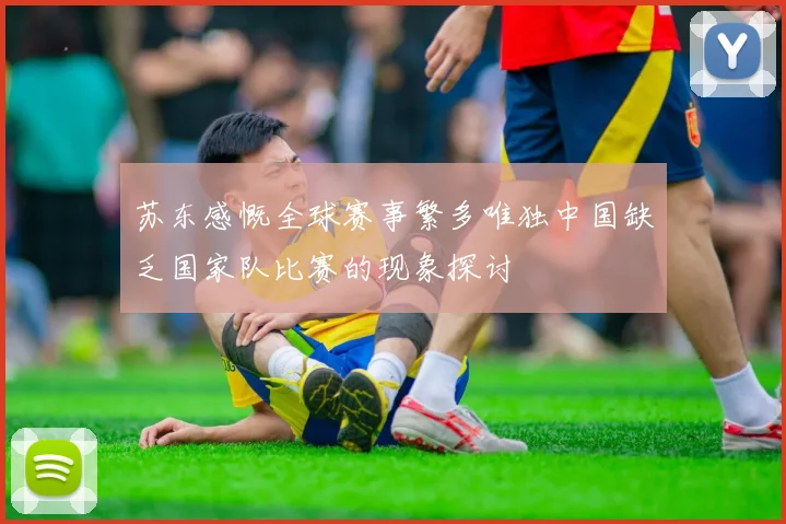 苏东感慨全球赛事繁多唯独中国缺乏国家队比赛的现象探讨